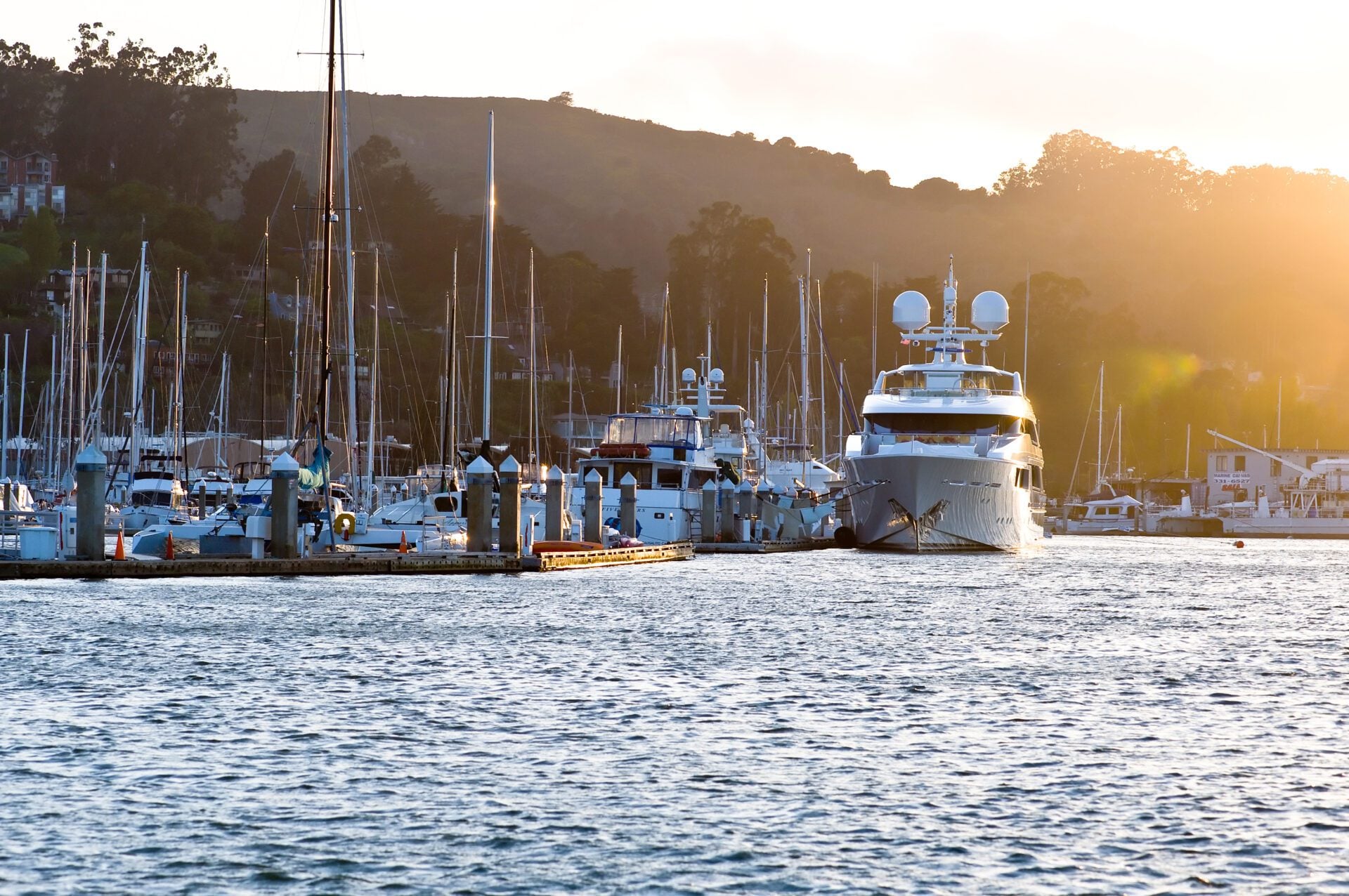 Palm-lined walking path leading to Schoonmaker Point Marina beach in Sausalito